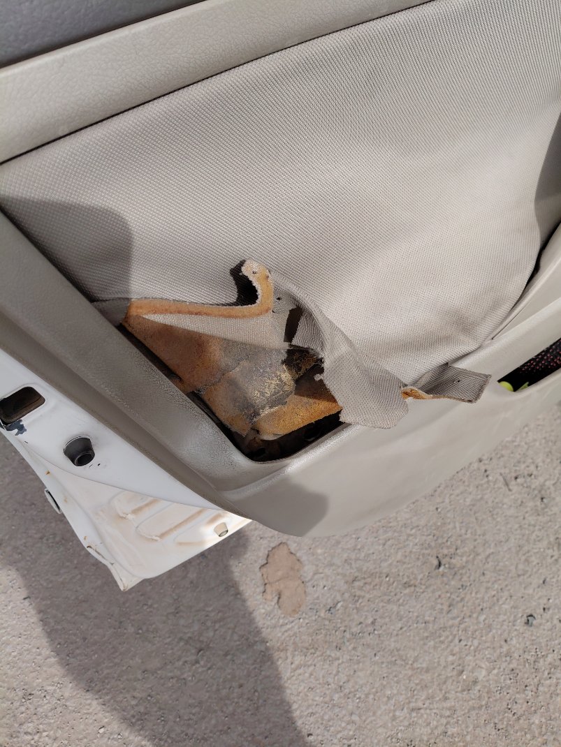 تويوتا كامري  2010 image