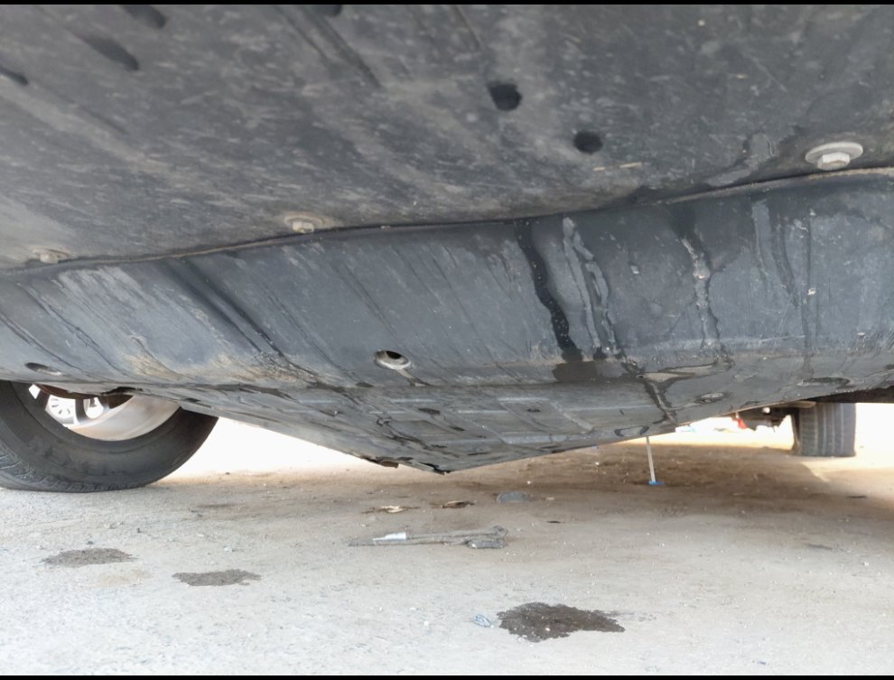 جيلي كول راي SPORT  2023 image