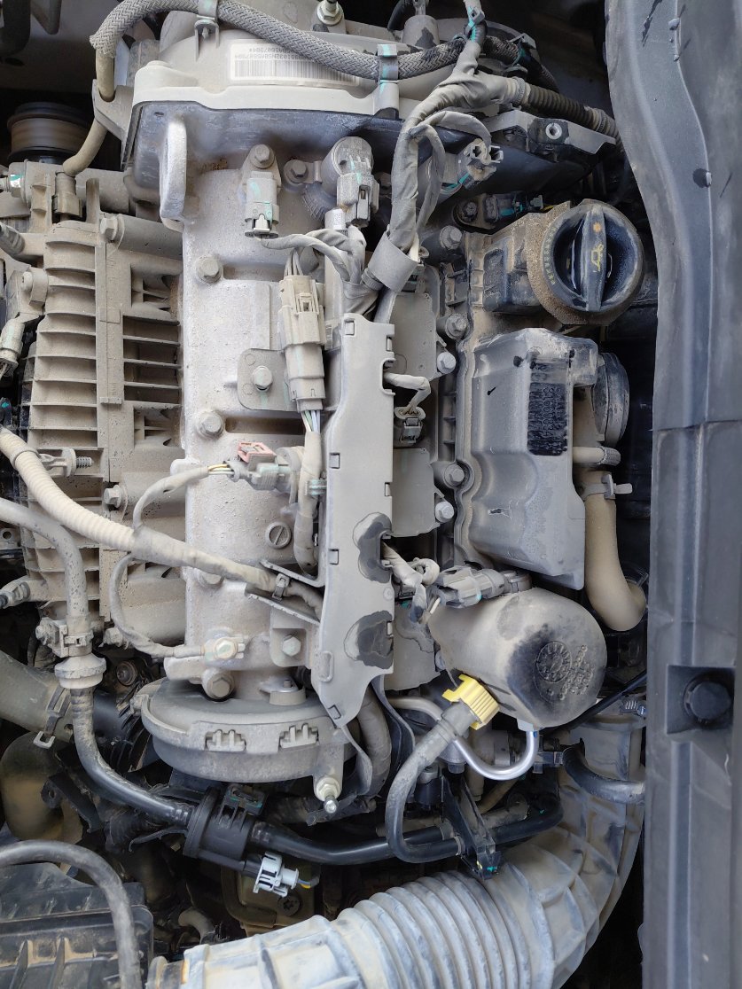 جيلي كول راي SPORT  2023 image