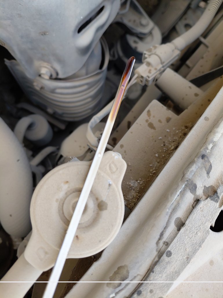 تويوتا كامري  2010 image