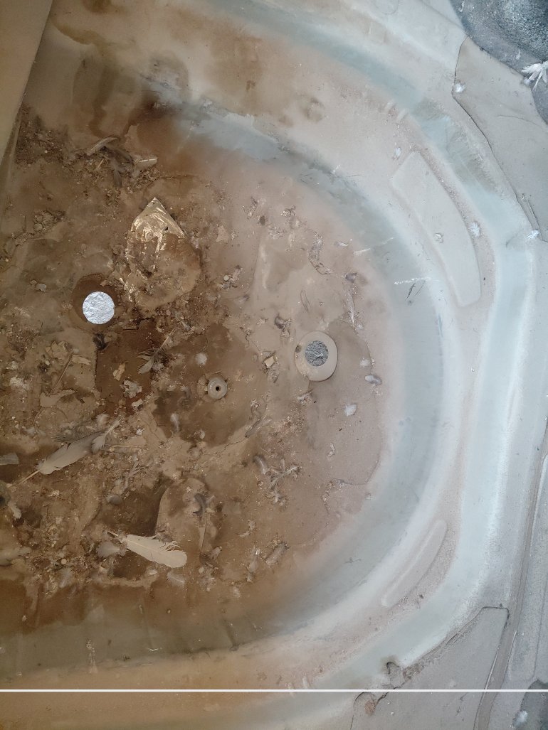 تويوتا كامري  2010 image