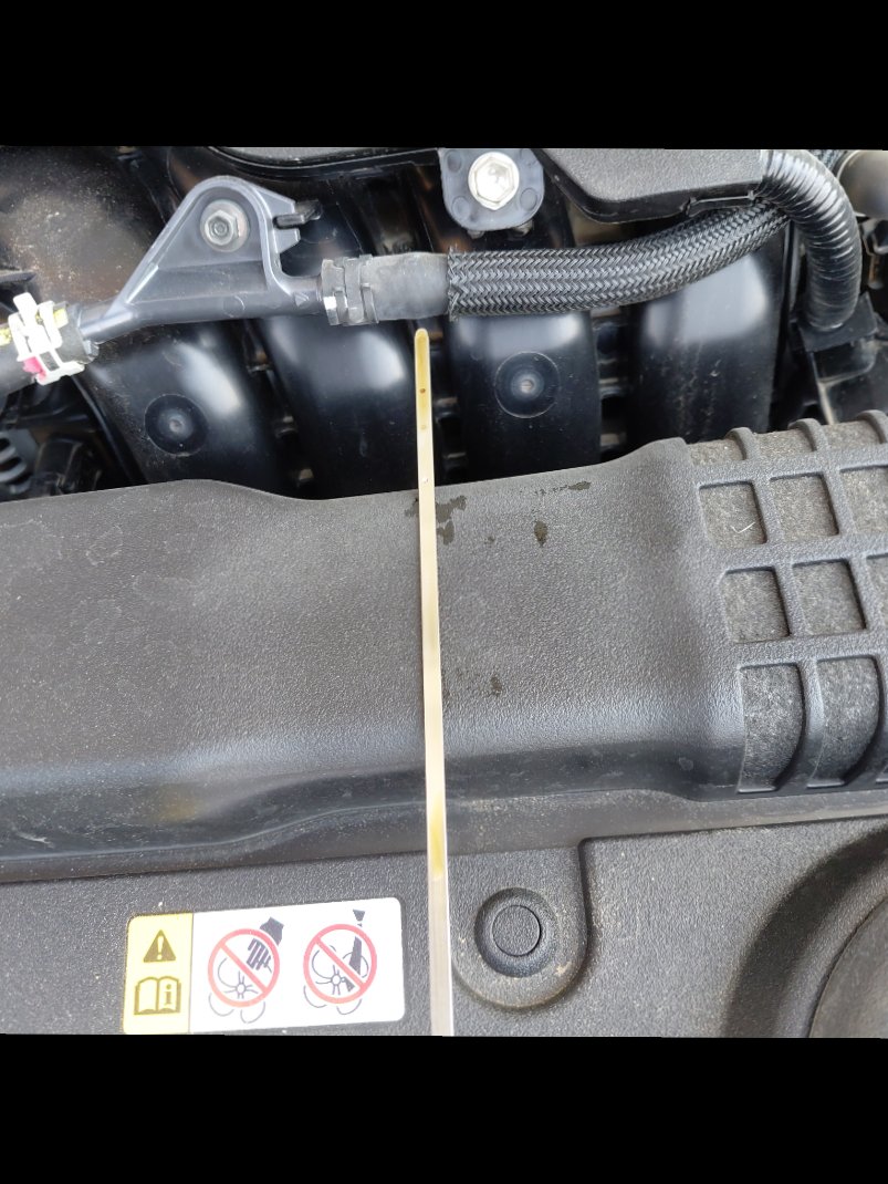 تويوتا كورولا XLI EXE  2024 image