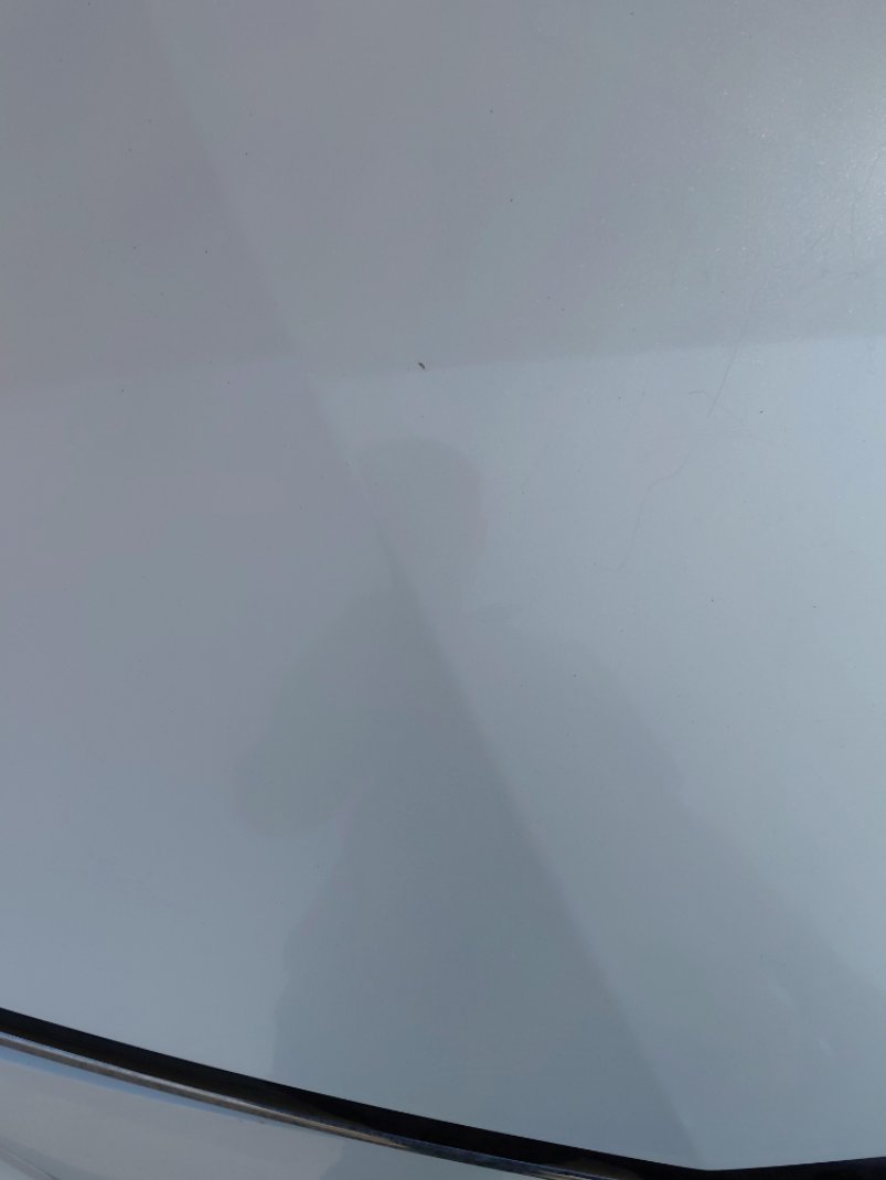 تويوتا كورولا XLI EXE  2024 image