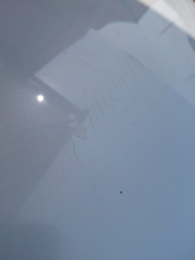 تويوتا كورولا XLI EXE  2024 image