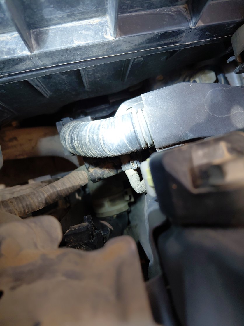 تويوتا كورولا XLI 2022 image