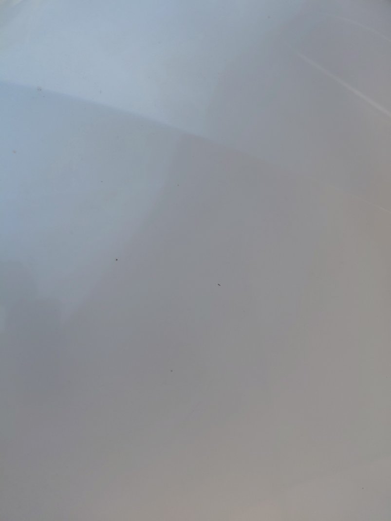 تويوتا يارس  Y FLT  2022 image