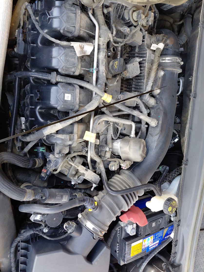 فورد توروس  2022 image