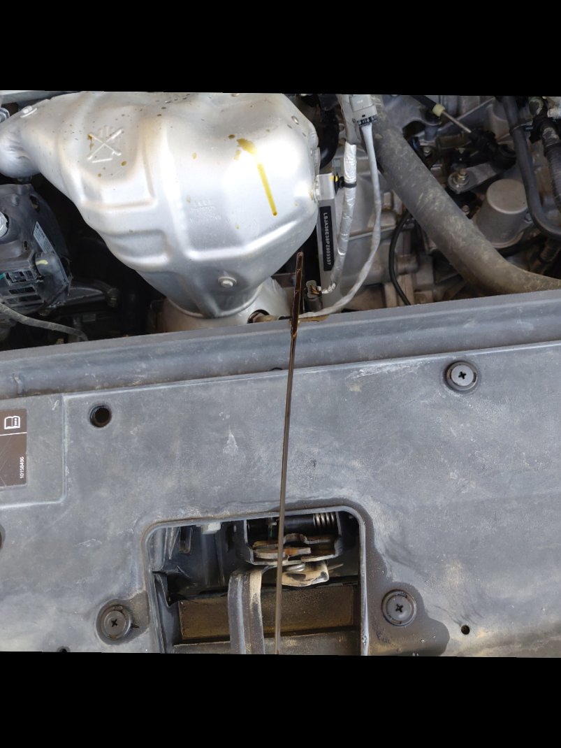 إم جي 5  2023 image