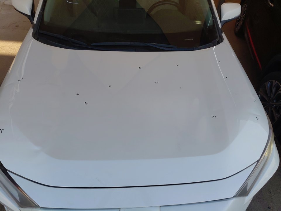 تويوتا راف فور LE SPORT 2022 image