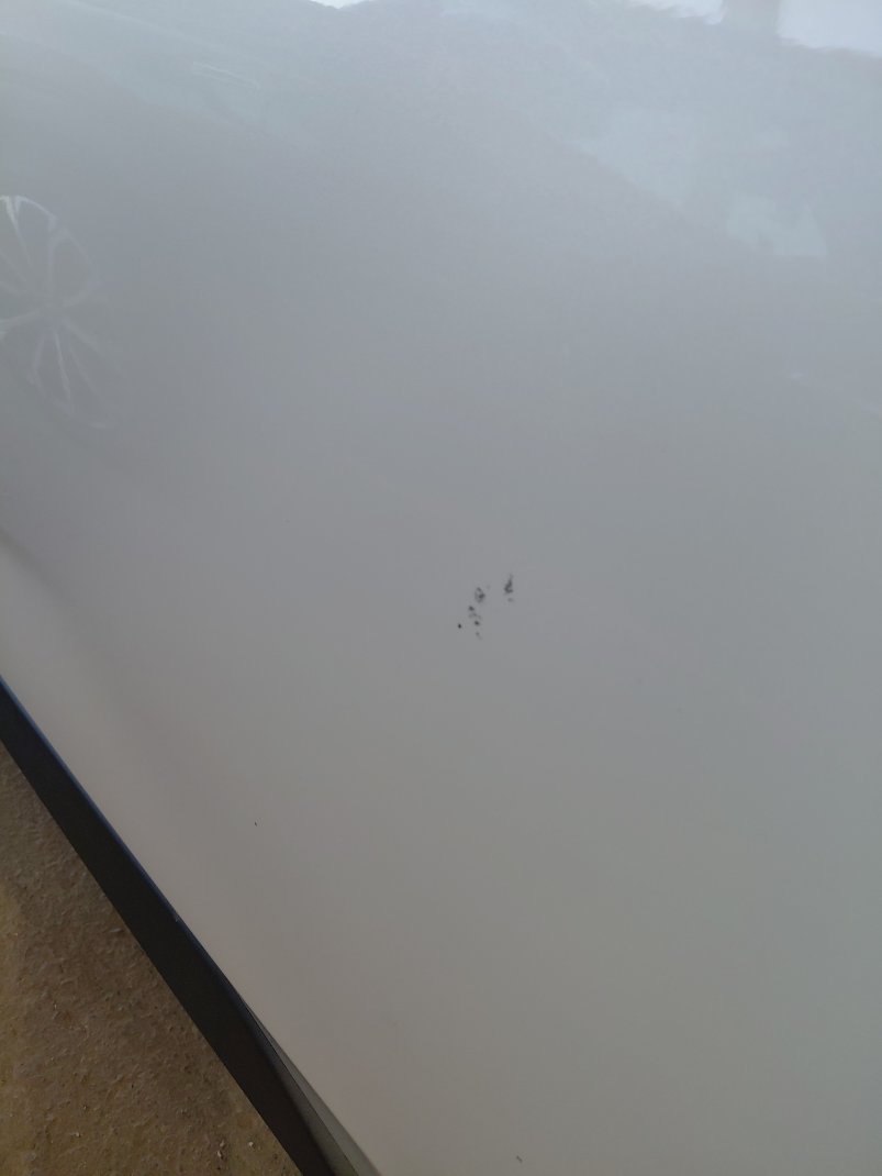 تويوتا راف فور LE SPORT 2022 image