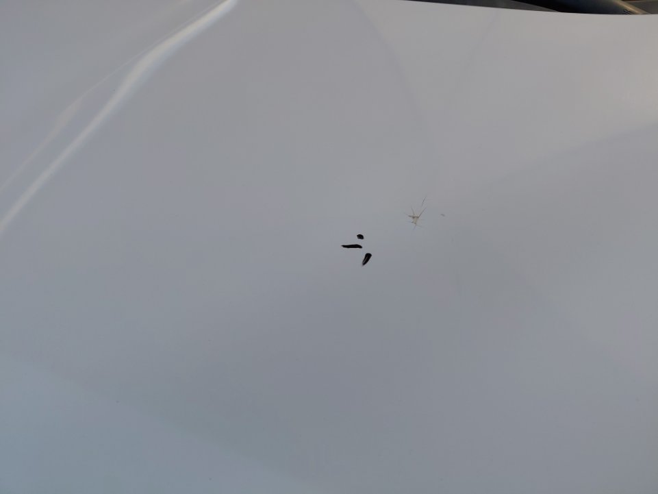 هيونداي أكسنت  FLEET 2018 image