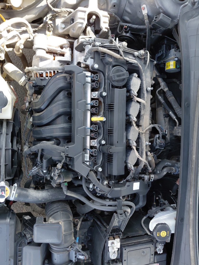 هيونداي إلنترا FLEET 2022 image