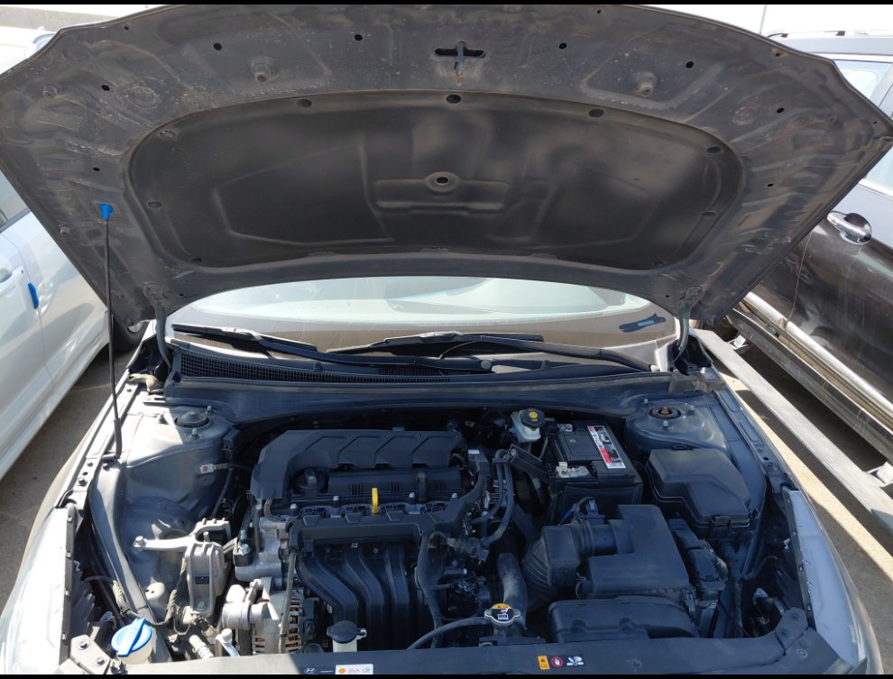 هيونداي إلنترا FLEET 2022 image