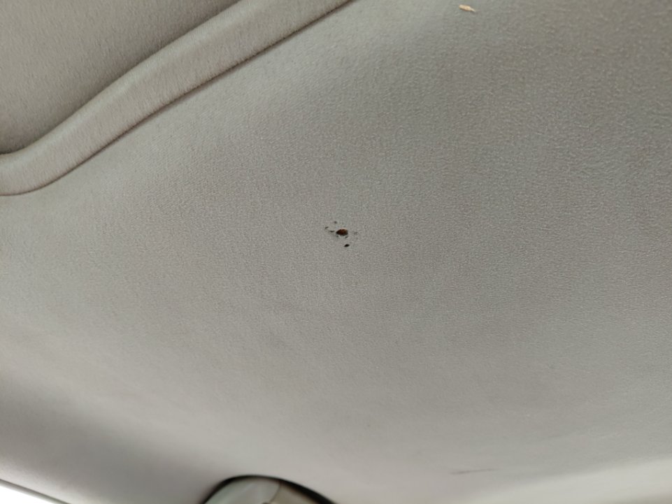 تويوتا كامري  2010 image