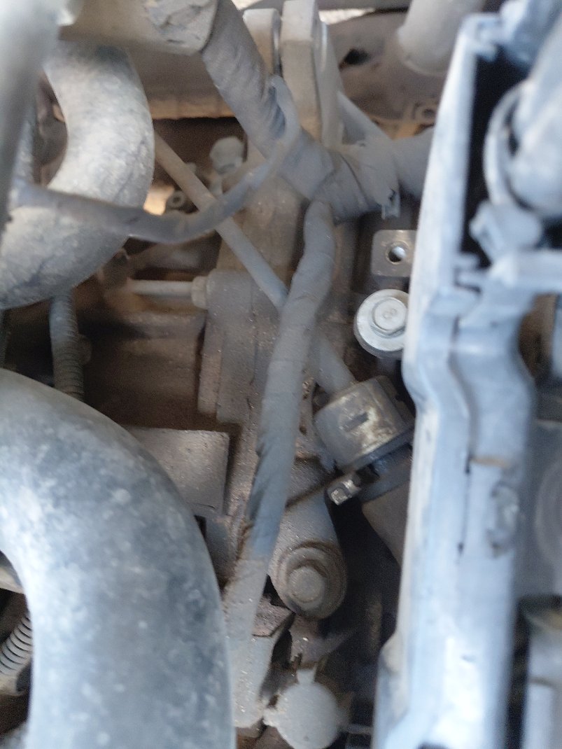 هيونداي أكسنت  FLEET  2020 image