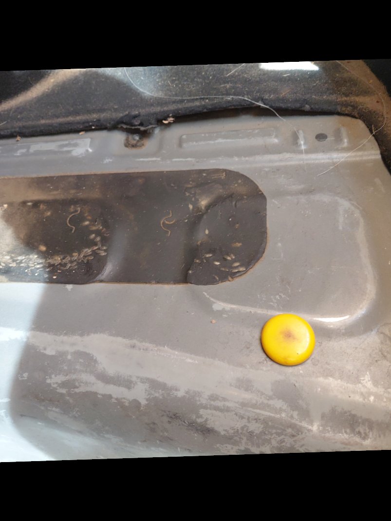 هيونداي أكسنت  FLEET  2020 image