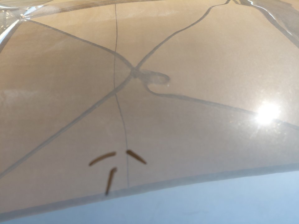 هيونداي أكسنت  FLEET  2020 image