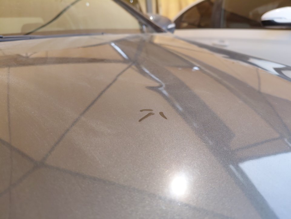 هيونداي أكسنت  FLEET  2020 image