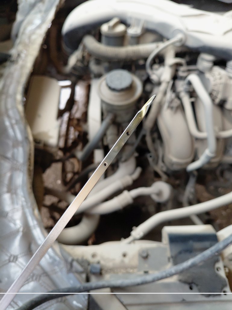 تويوتا هايس باص  2011 image