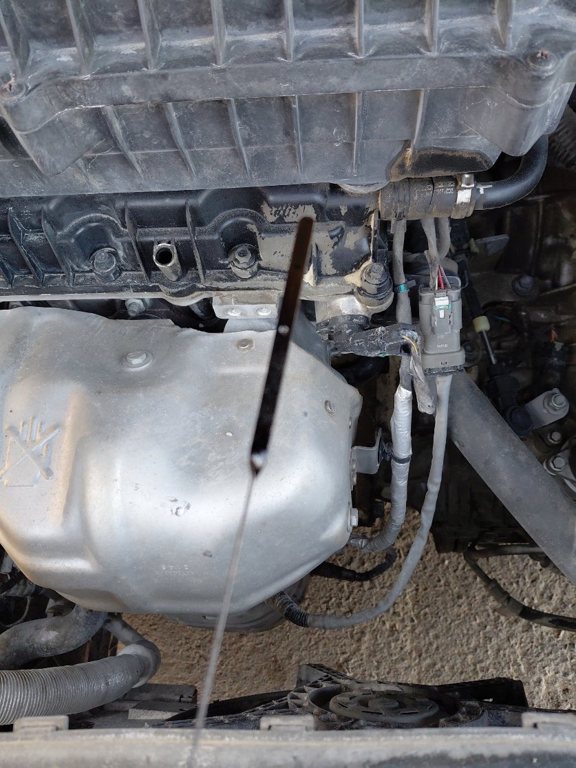 إم جي ZS رياضية - 11  2022 image