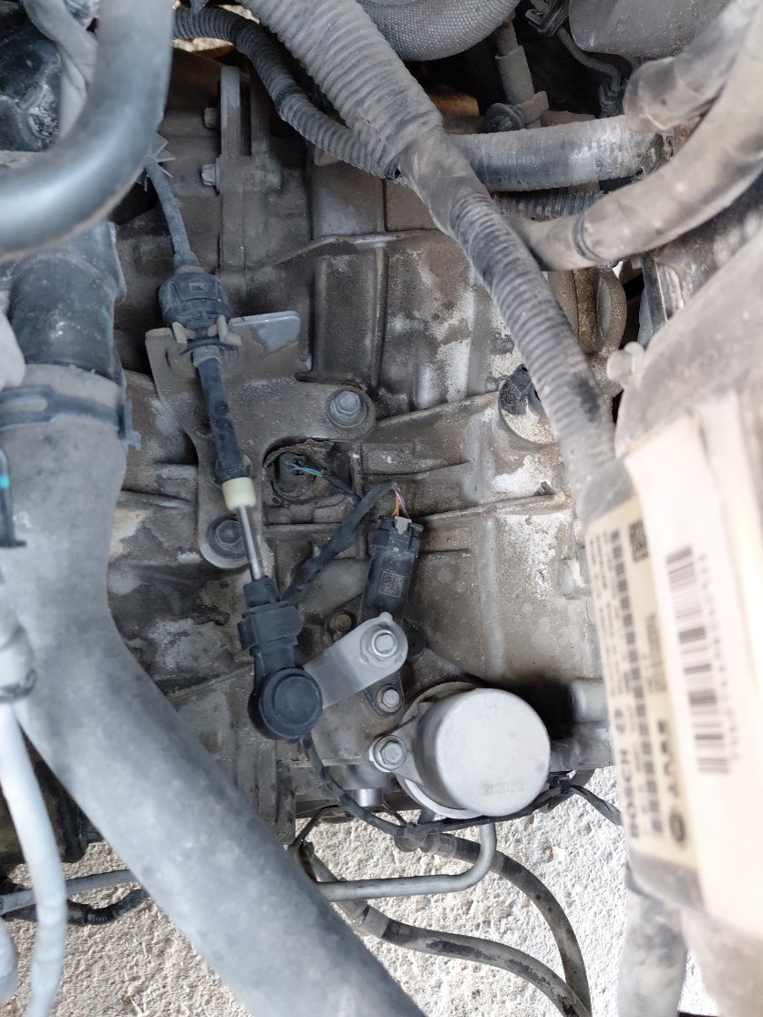 إم جي ZS رياضية - 11  2022 image