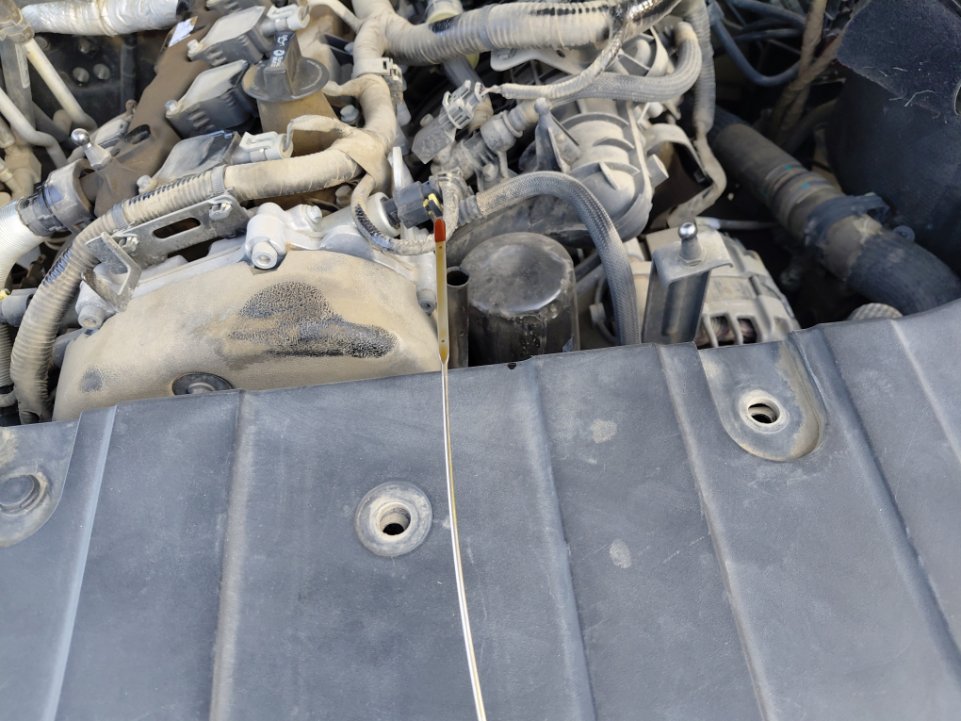 هافال H9 DIGNITY SPORT  2022 image