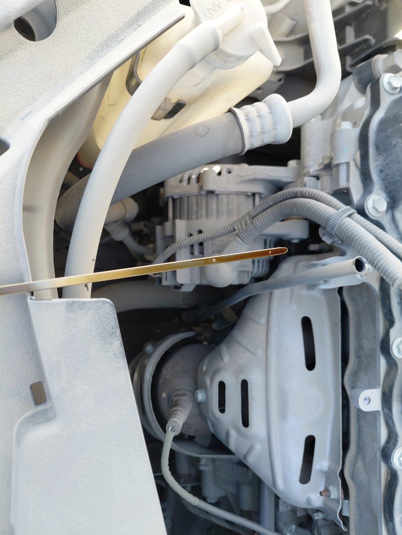 تويوتا يارس Y PLUS 2024 image