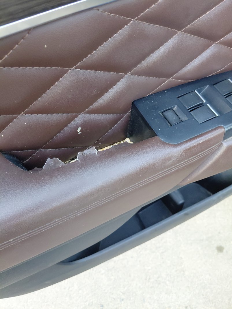 هافال H9 DIGNITY SPORT  2022 image