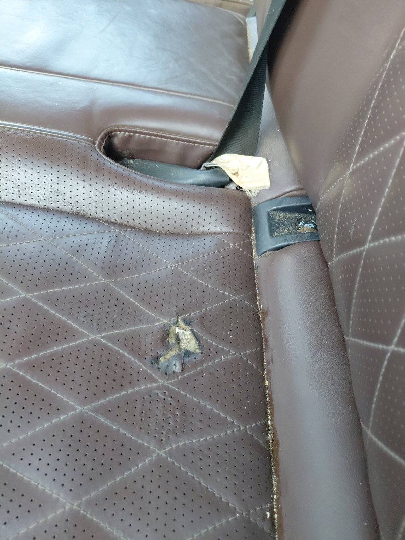 هافال H9 DIGNITY SPORT  2022 image