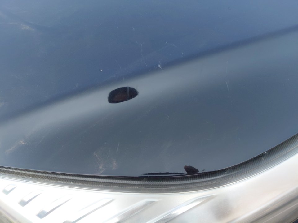 هافال H9 DIGNITY SPORT  2022 image