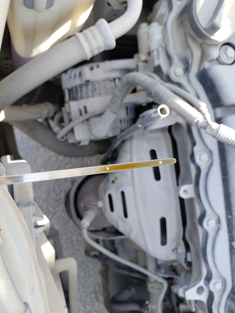 تويوتا فيلوز GLX 2023 image