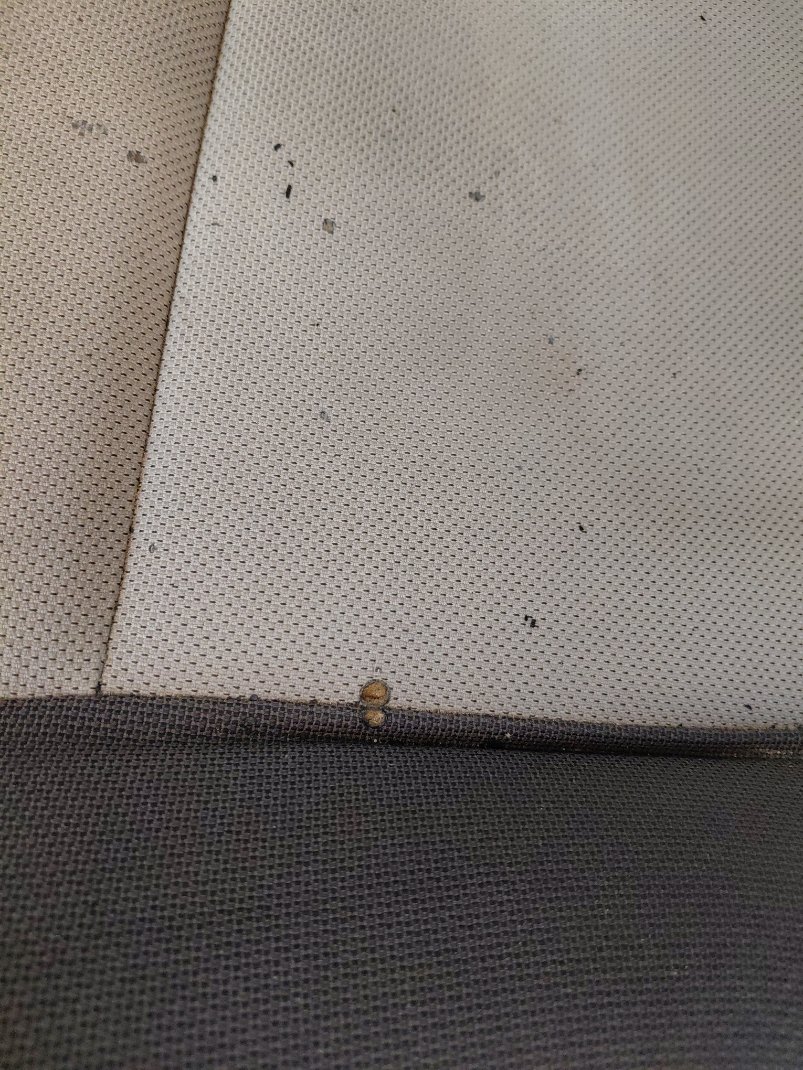 Toyota Corolla XLI 2021 image