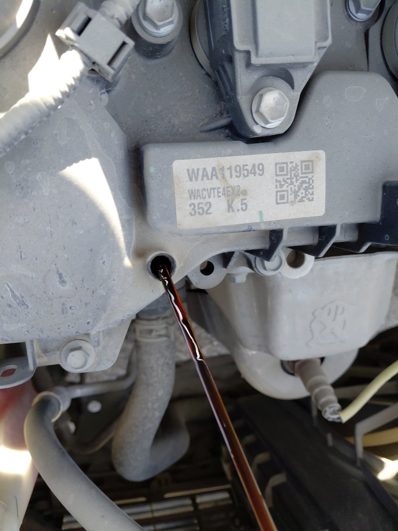 تويوتا رايز XLE 2024 image