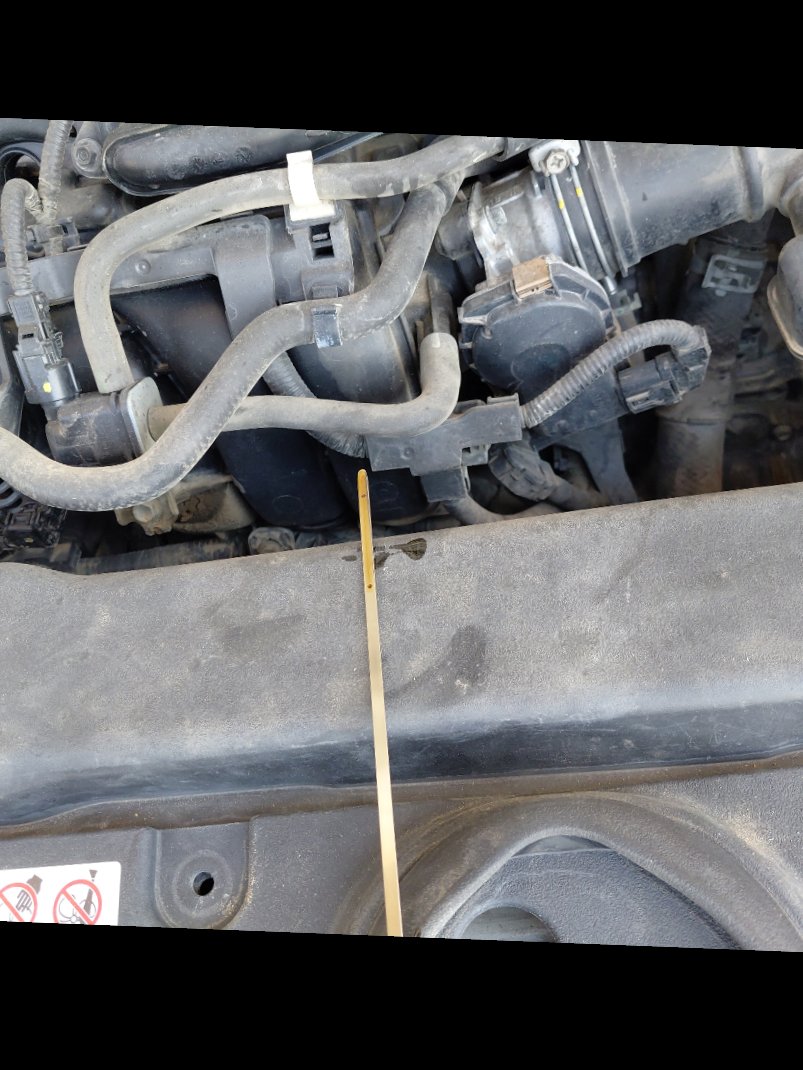 Toyota Corolla XLI 2021 image