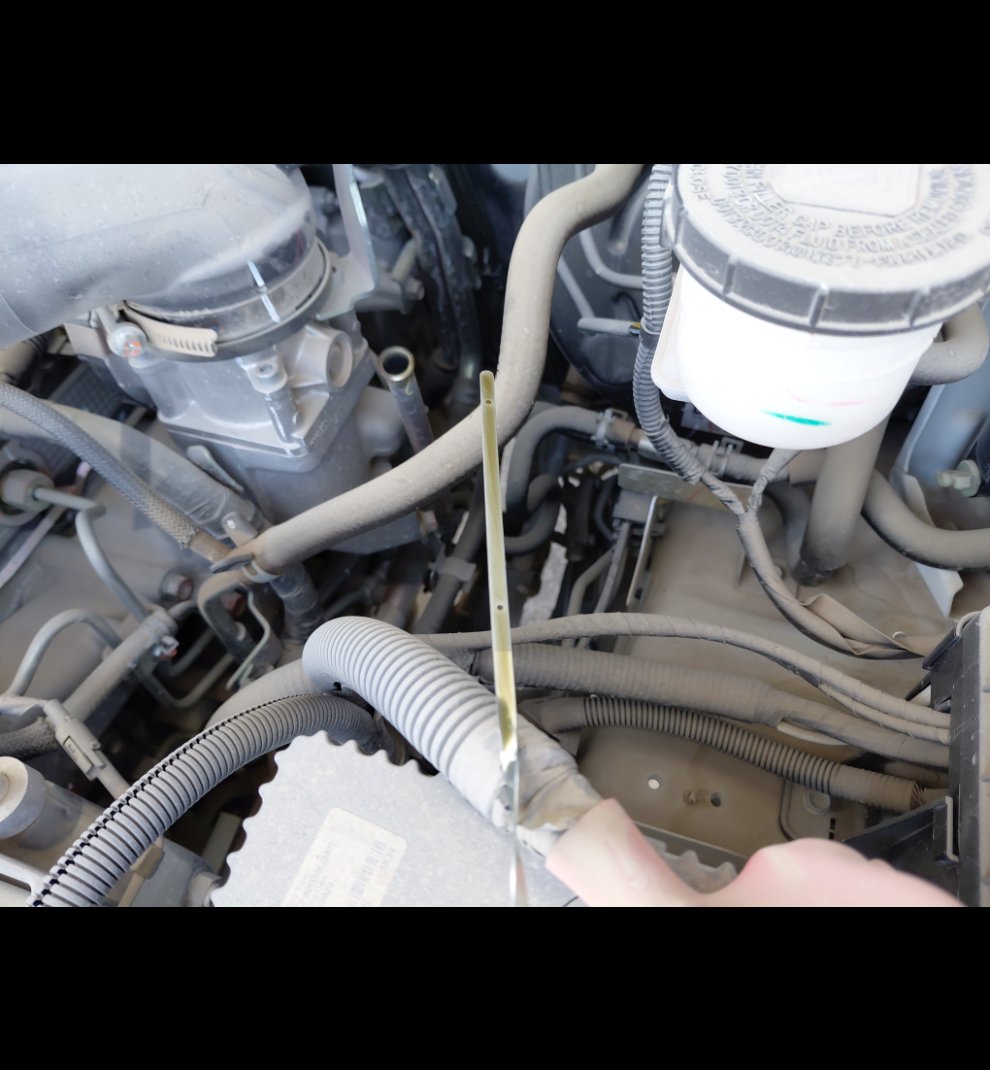 ايسوزو ديماكس  2023 image