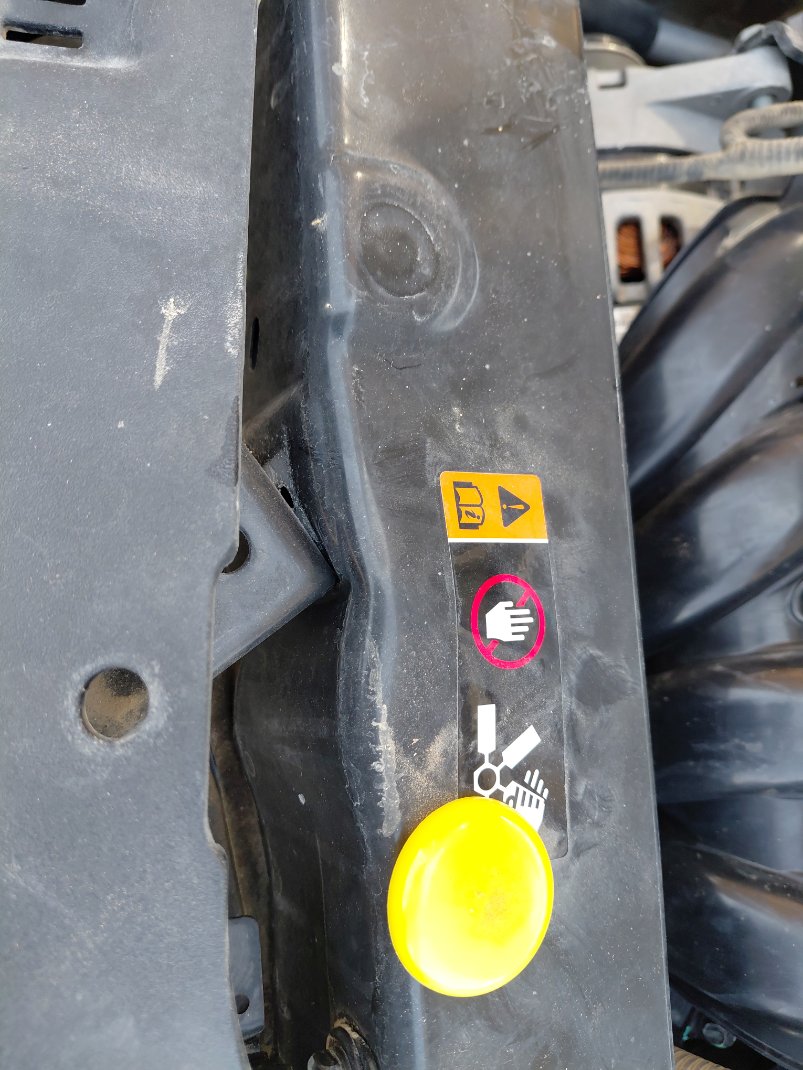 كيا بيجاس  LX  2021 image