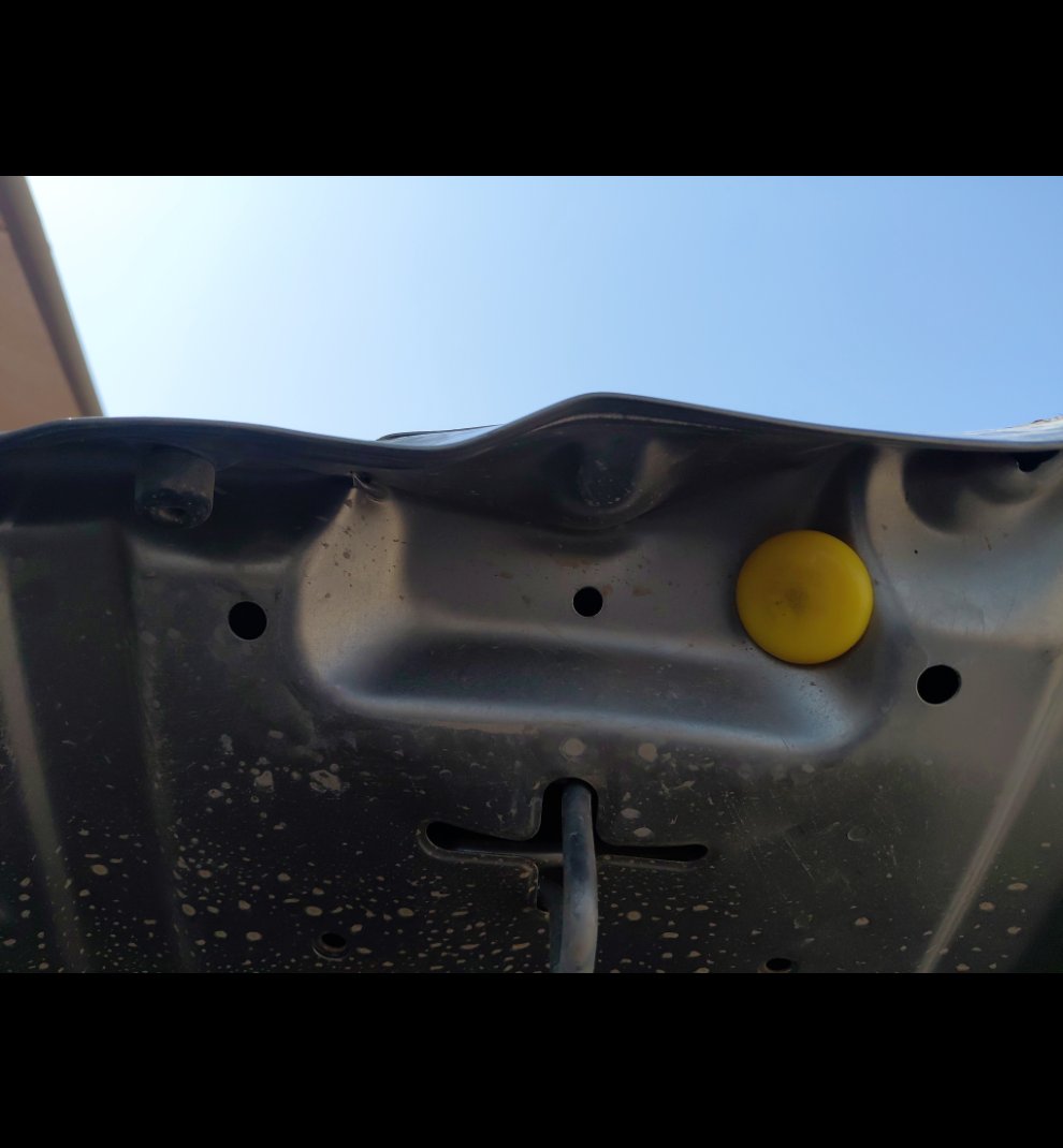 كيا بيجاس  LX  2021 image