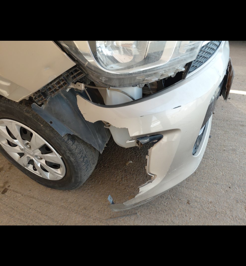 كيا بيجاس  LX  2021 image