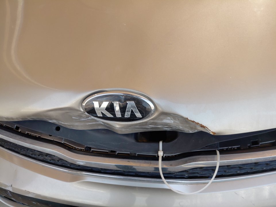 كيا بيجاس  LX  2021 image