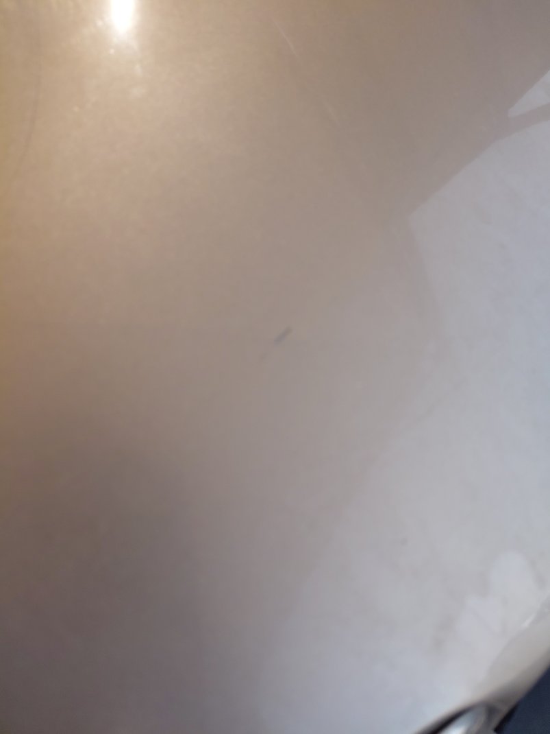 كيا بيجاس  LX  2021 image