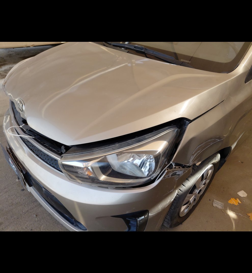 كيا بيجاس  LX  2021 image