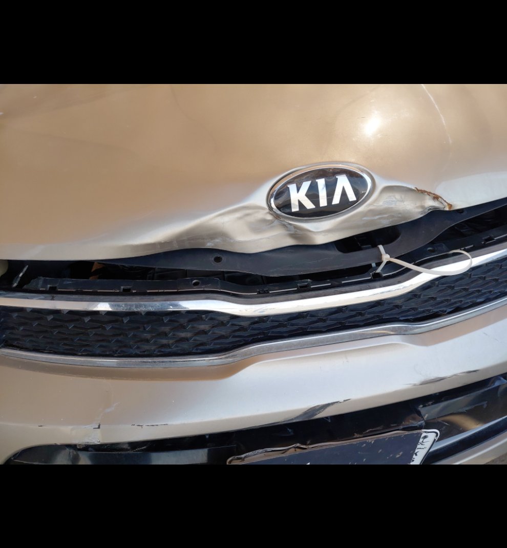 كيا بيجاس  LX  2021 image