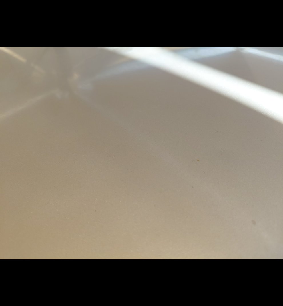 كيا بيجاس  LX  2021 image