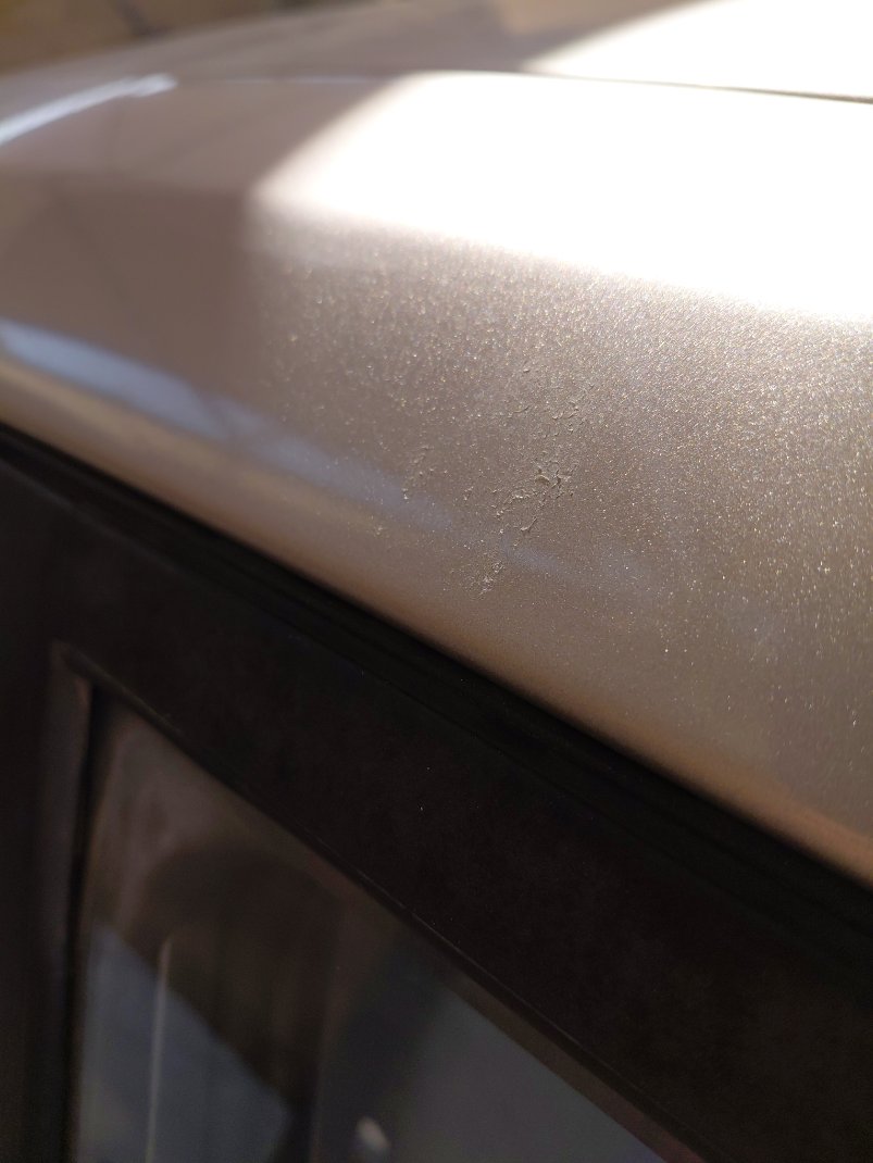 كيا بيجاس  LX  2021 image