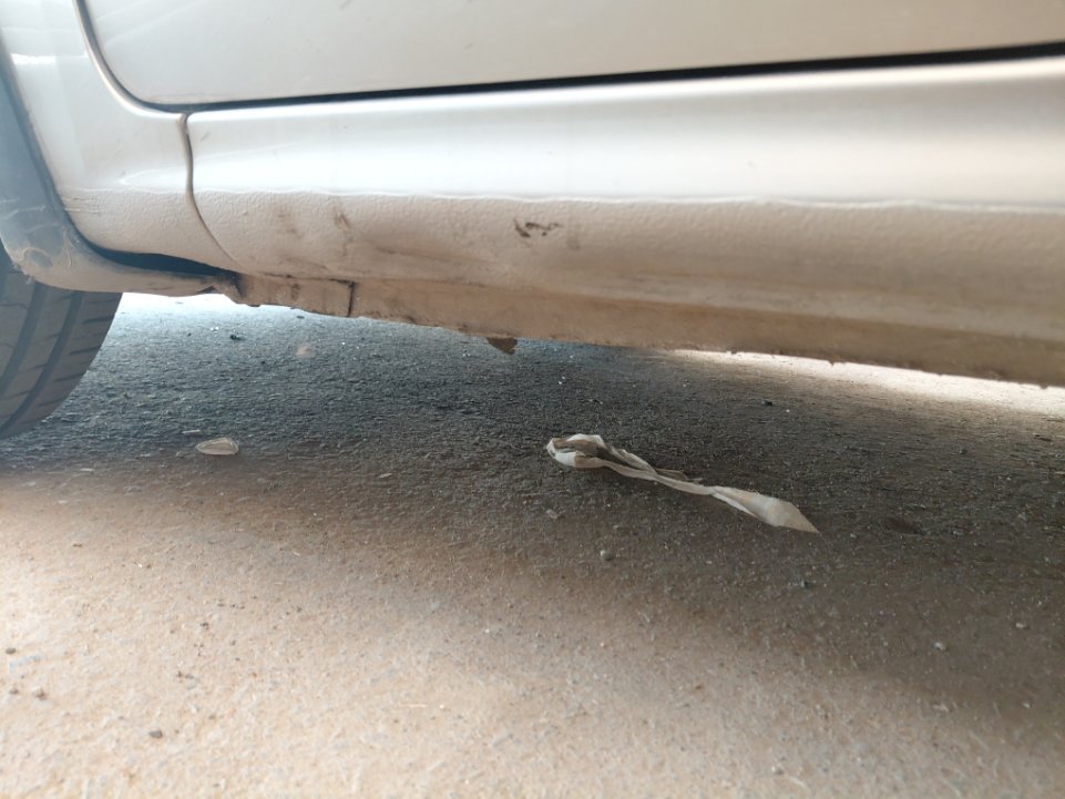 كيا بيجاس  LX  2021 image