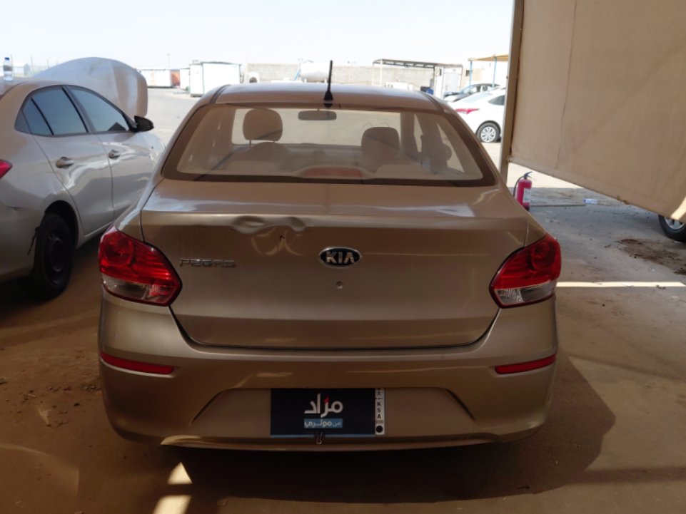 كيا بيجاس  LX  2021 image