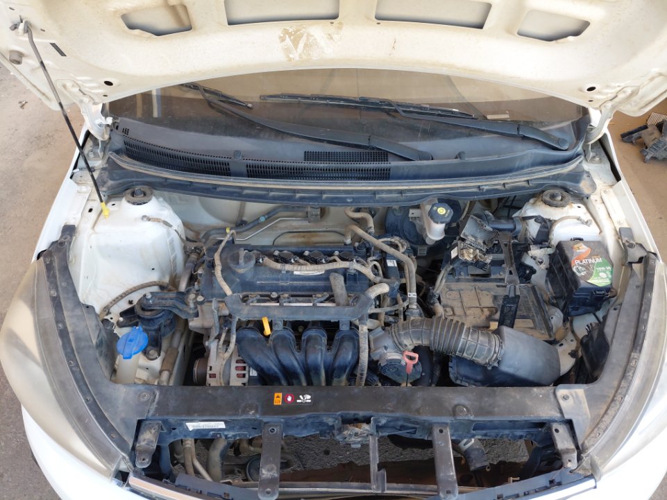 كيا بيجاس LX 2020 image