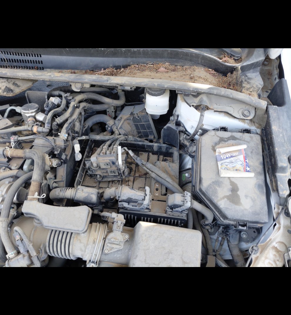 تويوتا كورولا  XLI  2024 image