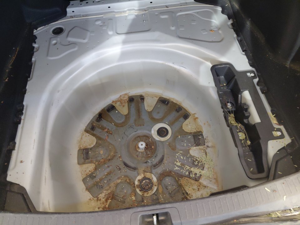 تويوتا كورولا  XLI  2024 image