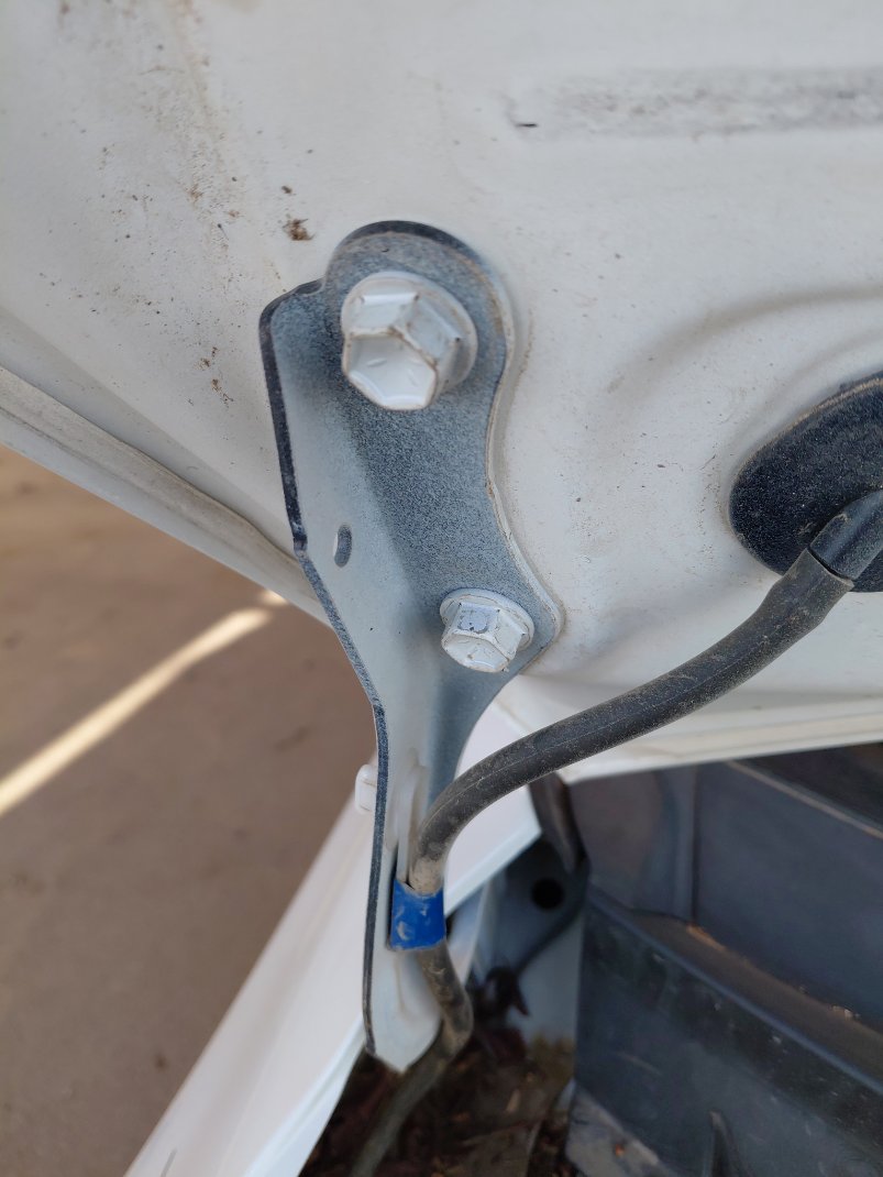 تويوتا كورولا  XLI  2024 image